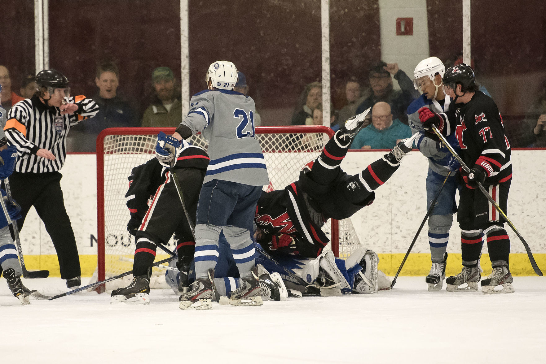 Moose hockey